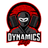 Dynamics Ninja Logo